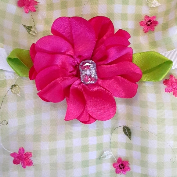 Sweet Heart Rose Toddler Dress - Picture 10 of 10